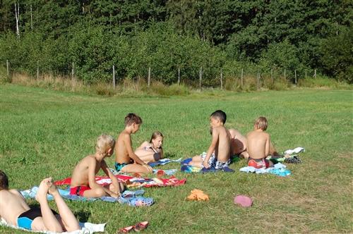 Obrázek v galerii
